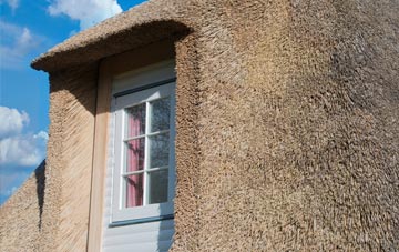 Farraline thatch roof disadvantages