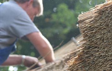 professional Farraline thatchers